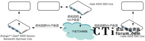 企業(yè) VoIP 會(huì)話(huà)優(yōu)化